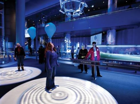 Guests interact with the wave shadows.