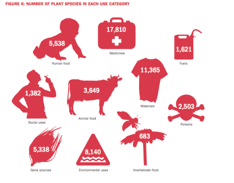 image via The Kew Royal Botanic Gardens