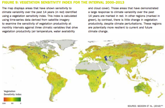 image via The Kew Royal Botanic Gardens