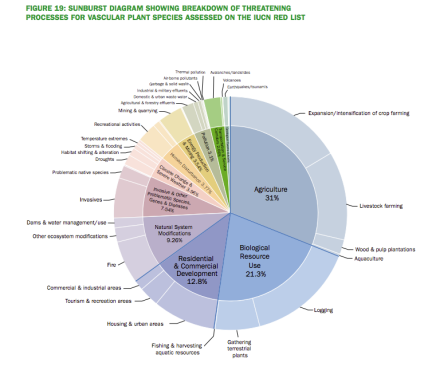 image via The Kew Royal Botanic Gardens