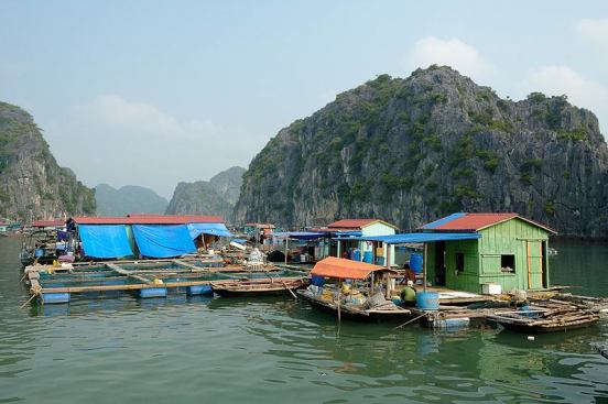 Out of Vietnam’s Ha Long Bay (in English, “Descending Dragon Bay”) jut thousands of monolithic limestone islands, each blanketed with thick jungle fauna. Between them are four floating fishermen’s villages, home to 1,600 locals. The region is increasingly threatened by burgeoning numbers of tourists, who have introduced harmful levels of carbon dioxide to the bay’s caves and given rise to a game fishing industry that endangers the bay’s biodiversity.