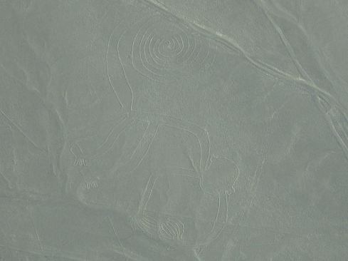 Sharks, hummingbirds, and the monkey above are among the hundreds of animals found in the cryptic ancient geoglyphs etched into the dry, 60-mile-wide plateau between the Peruvian towns of Nasca and Palpa. Drawn between 500 B.C. and 500 A.D., the beguiling lines may have been irrigation schemes, astrological calendars, or giant graphic attempts to communicate with the gods. Increasing numbers of tourists have necessitated a master plan for the site’s preservation.