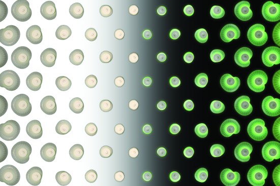 The Soft Frit Robots can expand and contract to either allow or deny solar heat gain in façade systems. An integrated photoluminescent pigment allows the robots to glow at night.