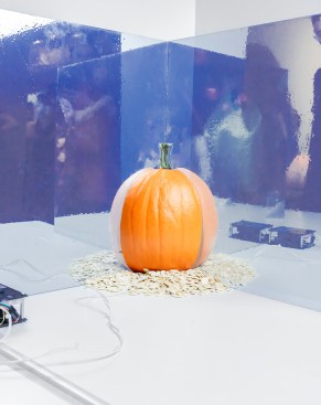 Reflective optical illusion pumpkin by SoftLab