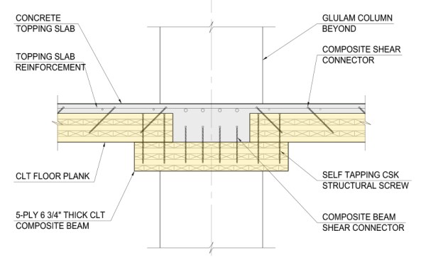 Typical mass-timber composite beam detail