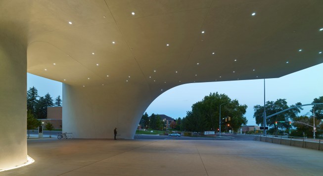 View under canopy at dusk