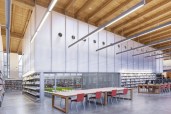 Stapleton Library