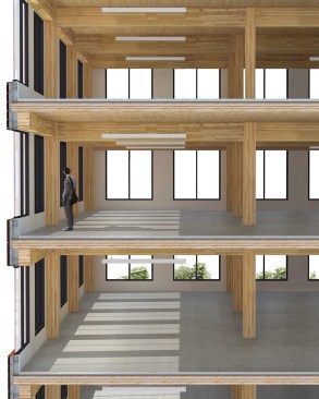 Section rendering