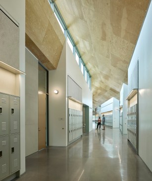 Corridor, "Reels" showing custom metal shelf extrusion detail above lockers