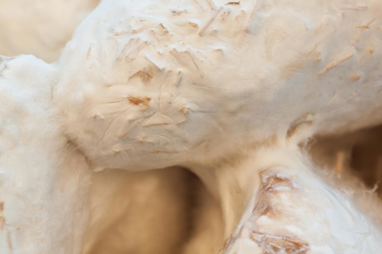 Bio-welding of mycelium material in The Living's exhibit “Jammed Bio-Welding” for the 2019 Milan Triennial, entitled Broken Nature