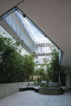 The entry directs residents to a planted central courtyard on the second level, around which all of the residential units are arranged. Poured-concrete planters and benches provide gathering areas for the residents.