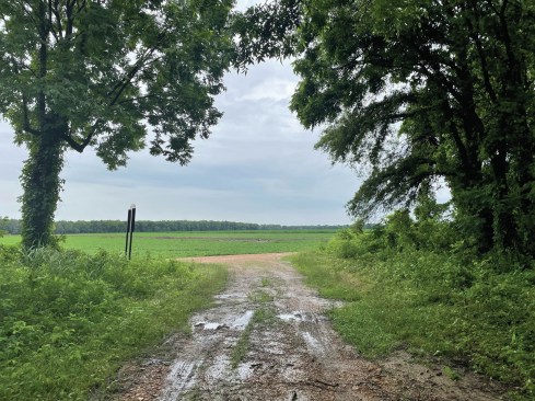 Photograph taken from site visit at Graball Landing on the Tallahatchie River, in Glendora, Miss., where Emmett Till’s body was found following his lynching by two white men in 1955.