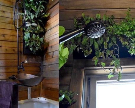 Shower-integrated living wall