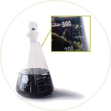 The pieces are placed in a bio-based dissolving solution