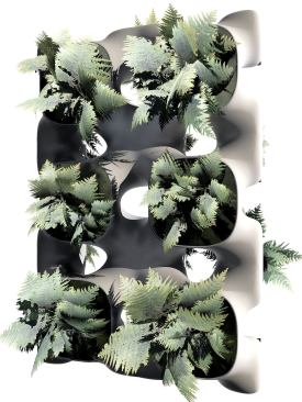 Populated with ferns