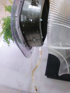 Plants are installed, and the test system is assembled.