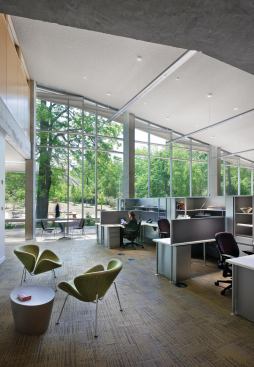 Conference rooms and informal meeting spaces are located along the perimeter and open onto outdoor terraces on the upper floors.