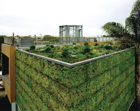 #5 ELT Modular Planted Panels  Consisting of modular planted panels, the EasyGreen Living Wall System provides for easy installation of a living wall. The panels angled cells hold soil and plants in place while creating maximum green surface area, the maker says, and the overall design allows water to move downward through every cell in the panel. The 4-inch-deep panels mount directly to the wall or on a standalone frame. 866.306.7773. 
www.eltlivingwalls.com.