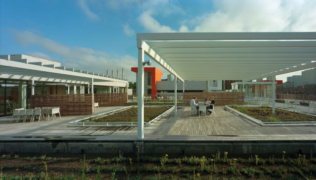 Roof garden