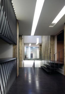 Internal stairs enclosed by wood-clad walls provide alternative circulation to the gallery reception area, which offers access into the galleries.