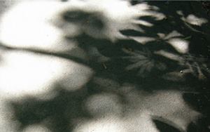 Images representing the interplay of light and shadow in the everyday world and its poetic quality, are discussed by student Marta Felizardo's in her master thesis.