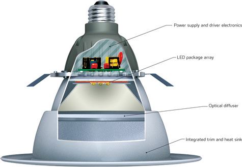 Cross Section of an LED Downlight