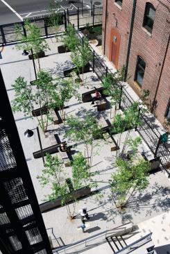 The Forecourt, designed by Julie Bargmann's D.I.R.T. Studio.