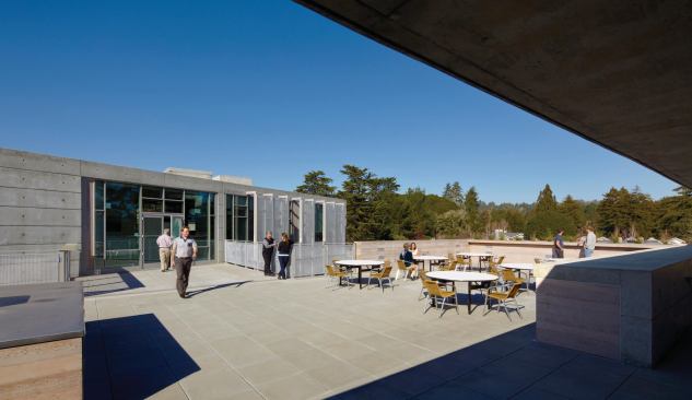 Roof terrace