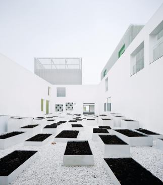  The voids between the building volumes allow for exterior gathering spaces, like this gravel-lined courtyard filled with planters.