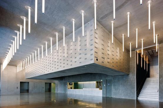 Dee and Charles Wyly TheatreDallas



REX and OMA

Audience members entering the theater must first descend down an esplanade, then rise to the first-floor theater level using one of four elevators.