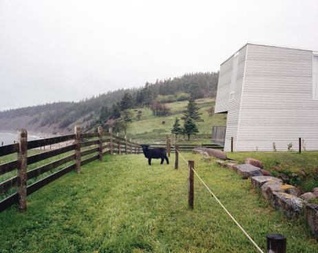 Views out to the fog-covered bucolic landscape.