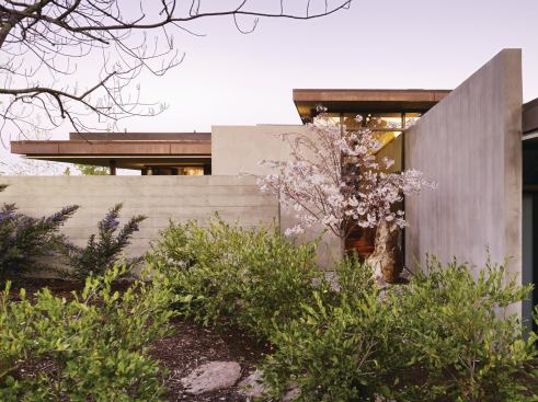 The Courtyard Residence demonstrates the firm’s focus on experiential richness. A series of pavilions enclose a walled courtyard, choreographing a diverse assortment of views both distant and immediate. 