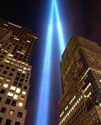 beams.jpgClick to view image gallery.