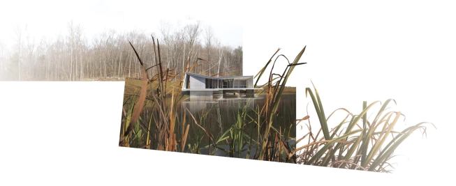 View of south façade across pond.