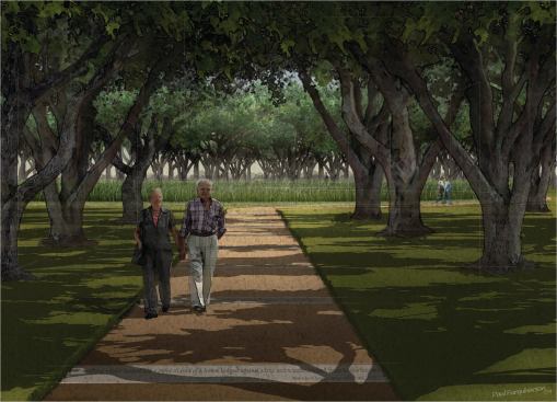 View of pathway opening out onto circular hollow in memorial grove.