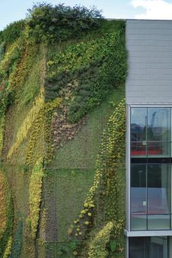 One of the projects highlighted in the Performative Envelope Lab research is the Leamouth Peninsula Building N in London. Tight, urban site conditions limit the amount of greenspace on the site, so the architects looked to include vegetation in vertical garden faƧades overlayed on reinforced-concrete walls on each of the four faces of the building.