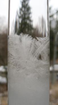 These fluid-filled glass tubes form the basis for Ply Architecture’s Stormglass system.