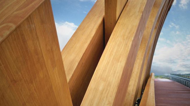 Accoya Wood is softwood that is given the properties of tropical hardwood.
