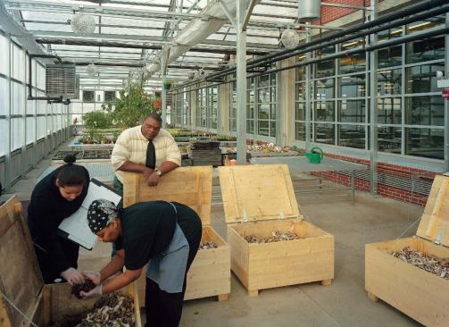 The mission's programming makes it far more than just a homeless shelter. Residents staying for a month or longer can become involved in such activities as composting in the greenhouse, where they learn community and job skills. 