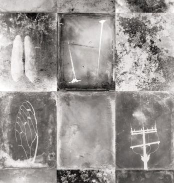 Otium, a new wall covering from 
Trove, is crafted from a collection of images that give life to broken or soon-to-be obsolete objects. From mangled umbrellas to animal skeletons to drained swimming pools, the images break away from the design firm’s focus on nature. The pattern is repeated on a 12-foot-tall, 6-foot-wide scale and is available on all of the company’s surfacing materials including a matte foil wallpaper, FSC-certified printed wood veneer, and a paper made from ground stone and natural resin. Trove. 212.268.2046. 
www.troveline.com.