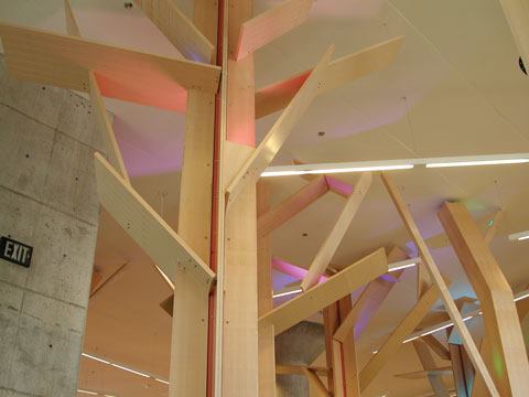 LED strips nestled into the branches of the abstract tree forms are programmed to provide changing kaleidoscopic color.