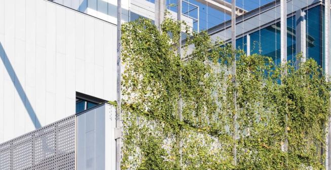 Bringing nature to the neighborhood, on the south and west façades, a trellis is bracketed off the building face on a galvanized steel frame. 
