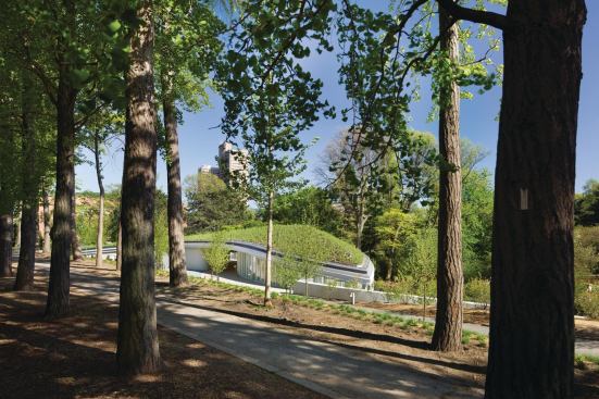 The Brooklyn Botanic Garden Visitor Center's undulating planted roof makes it blend seemlessly with the landscape.