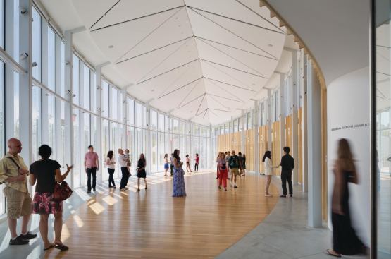 The curving exhibition gallery terminates in the leaf-shaped event space, which is lined with milled ginkgo boards harvested from one of the few trees that had to be felled in 

order to make way for the 

new building.