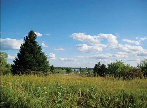 ELEVATION COLOR STUDY
Cloak Wall uses a high-performance automotive paint on the exterior, which gives the appearance of changing colors as light angles shift season to season. When the sun's light is at a low angle or dim, the paint appears darker, soaking up and trapping more heat. During summer months when the sun is higher, the paint appears lighter, reflecting heat to keep the house cool.