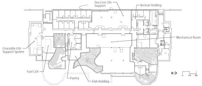 CELLAR PLAN

An additional 6,000 square feet was excavated from the cellar level to accommodate life support systems, animal holding, storage, and pantry and mechanical space (left).