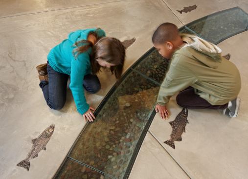 Designed by KMD Architects, the Bertschi School Living Science Building in Seattle reuses rainwater and graywater to irrigate its outdoor and indoor gardens, respectively. Inside the school, a runnel that carries rainwater collected from the roof to a cistern doubles as a lesson in water conservation for students.
