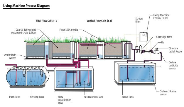 Process diagram for Living Machine Systems's graywater and blackwater treatment system at San Francisco Public Utilities Commission.