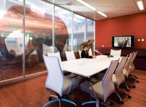 There are no corridors in a traditional sense in the IFAW headquarters. Instead, there is what the architects call an "exhibit trail," which meanders through the interior. At 13 points along the trail, text and graphics explain the IFAW's mission and the building's key environmental strategies. One of the graphics, an elephant, is visible from inside a conference room.