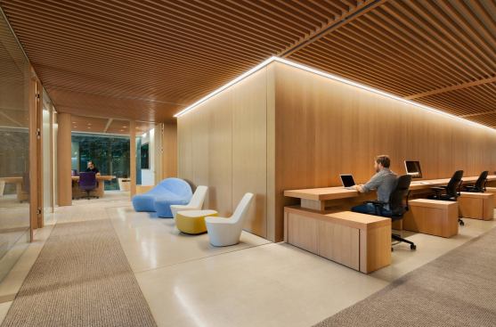 The office’s neutral material palette of wood and glass meant that the lighting had to maintain a uniform brightness. 